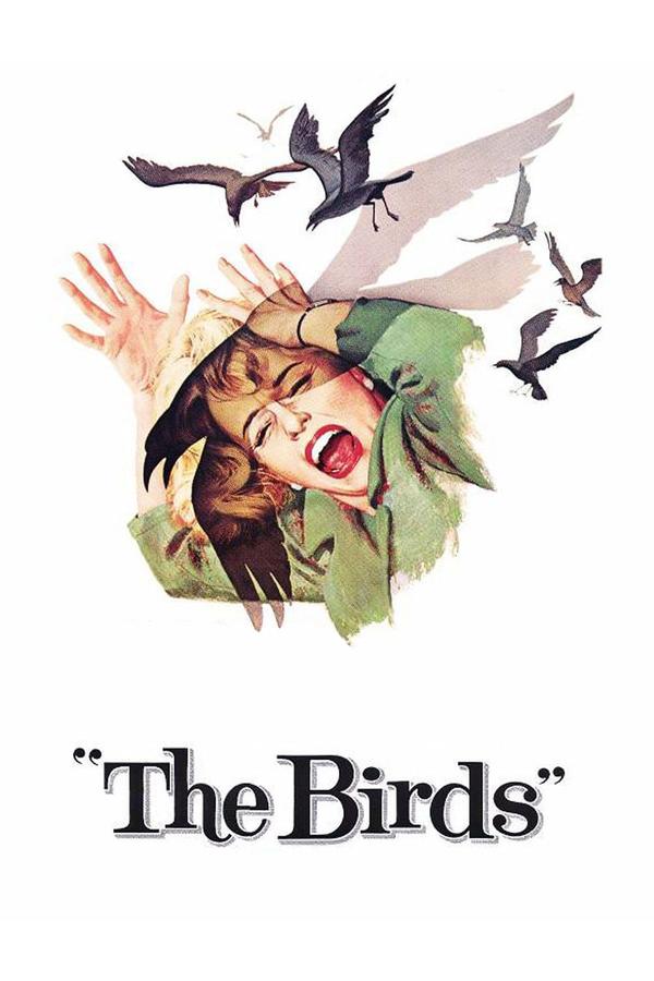 فیلم پرندگان The Birds 1963