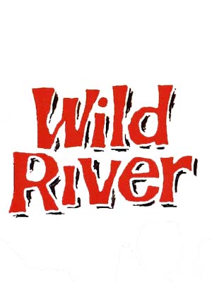 فیلم رودخانه وحشی Wild River 1960